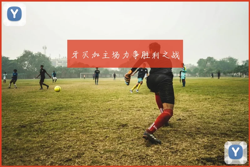 牙买加主场力争胜利之战