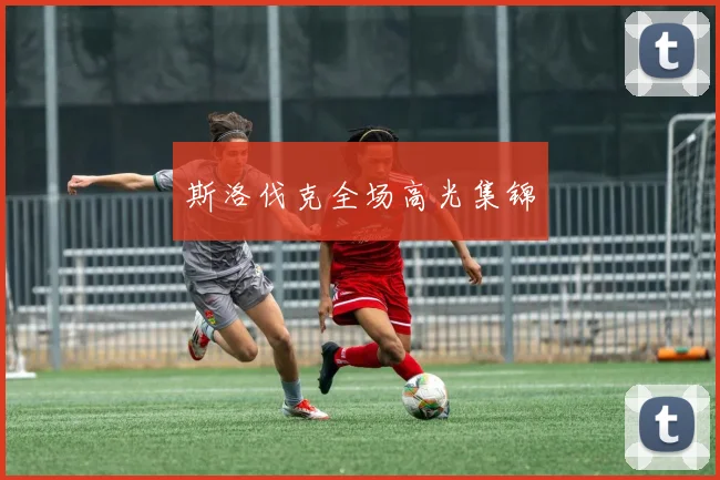 斯洛伐克全场高光集锦