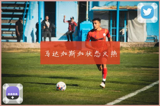 马达加斯加状态火热