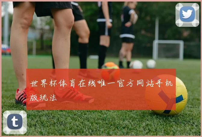 世界杯体育在线唯一官方网站手机版玩法