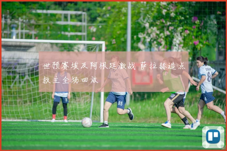 世预赛埃及阿根廷激战 萨拉赫造点救主全场回放