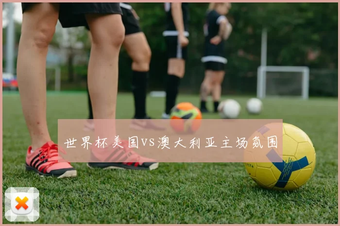 世界杯美国vs澳大利亚主场氛围