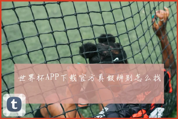 世界杯APP下载官方真假辨别怎么找
