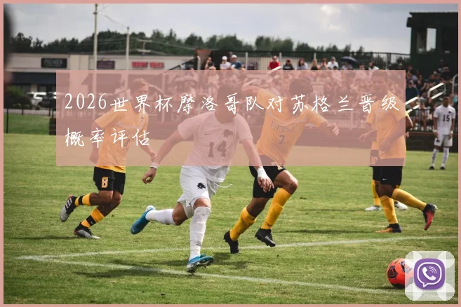 2026世界杯摩洛哥队对苏格兰晋级概率评估